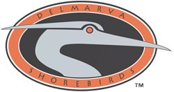 The Delmarva Shorebirds